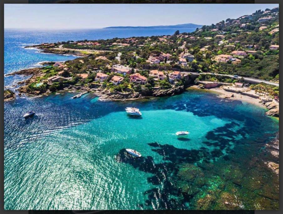 Villa Alisa Avec Piscine Privee Roquebrune-sur-Argens Exterior foto
